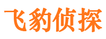 汇川市私家侦探